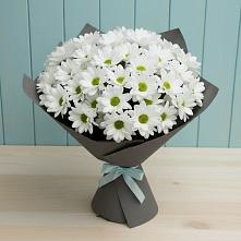Букет цветов из:  Хризантемы в Ногликах