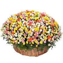 Премиум букет из: Розы #REPLACE_PRED# Ногликах