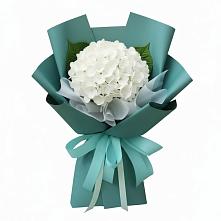 Букет цветов из:  Гортензия в Ногликах